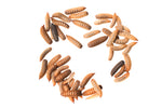 Crazy Critters Live Insects Medium BSFL